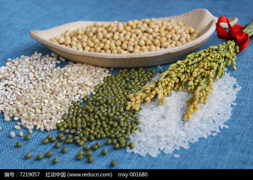 静物拍摄 高清谷物杂粮图片在红动网的下载与运用