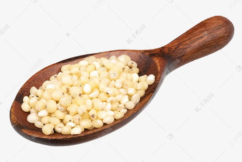 金色谷物 一勺小米的营养魅力与免费下载指南